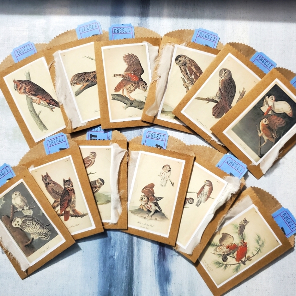😀 HAND CRAFTED Set of 12 kraft paper bags owl theme ticket ephemera